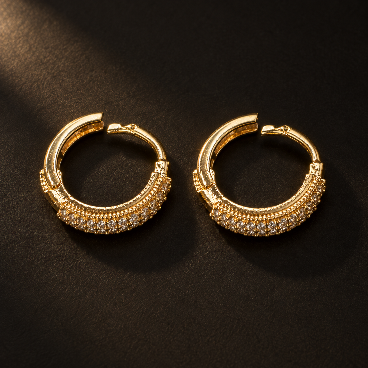 Hoop Earrings, alternate view