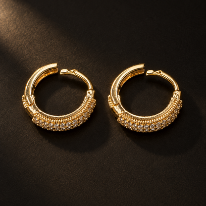 Hoop Earrings, alternate view